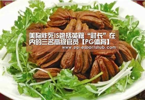 美称炸死IS包括英籍“财长”在内的三名高级官员【PG体育】(图3) PG足球