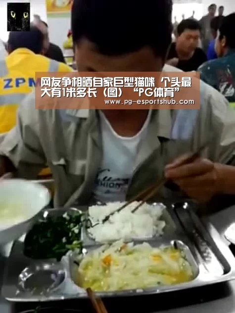 网友争相晒自家巨型猫咪 个头最大有1米多长(图)“PG体育”(图1) PG篮球