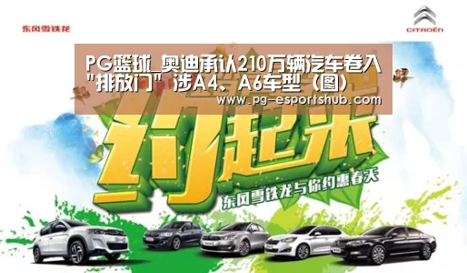 PG篮球