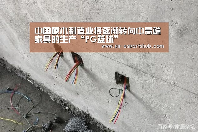 中国硬木制造业将逐渐转向中高端家具的生产“PG篮球”(图3) PG足球