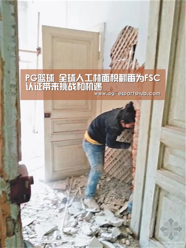 PG篮球_全球人工林面积翻番为FSC认证带来挑战和机遇(图1) PG足球
